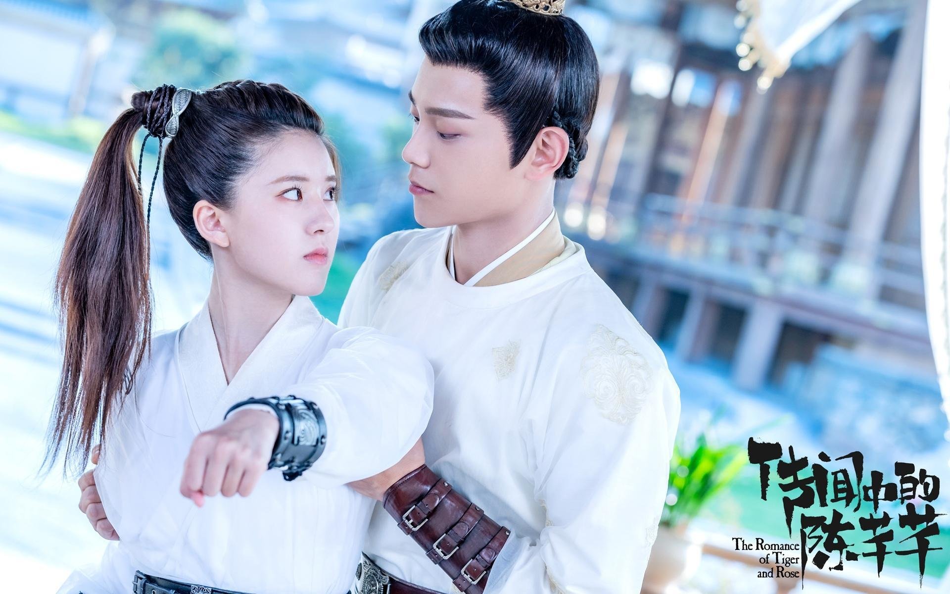 加拿大队赛制解析:如何在多变的赛制中保持冷静与专注,加拿大赛程500