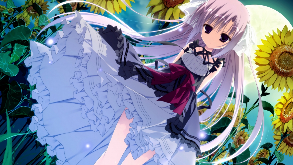 中国足球社交媒体响应IPO粉丝互动成热点，中国足球官网发布平台