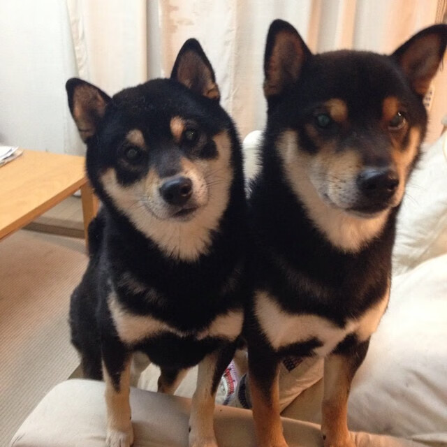 体育新闻中心球队备战前沿,体育新闻比赛