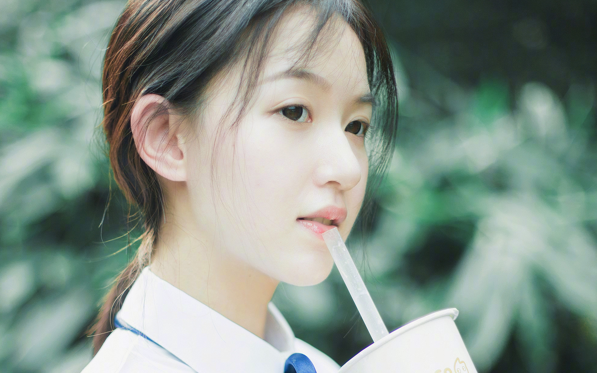 塞内加尔男篮在非洲锦标赛中奋力拼搏，争夺冠军荣誉，塞内加尔非洲杯大名单