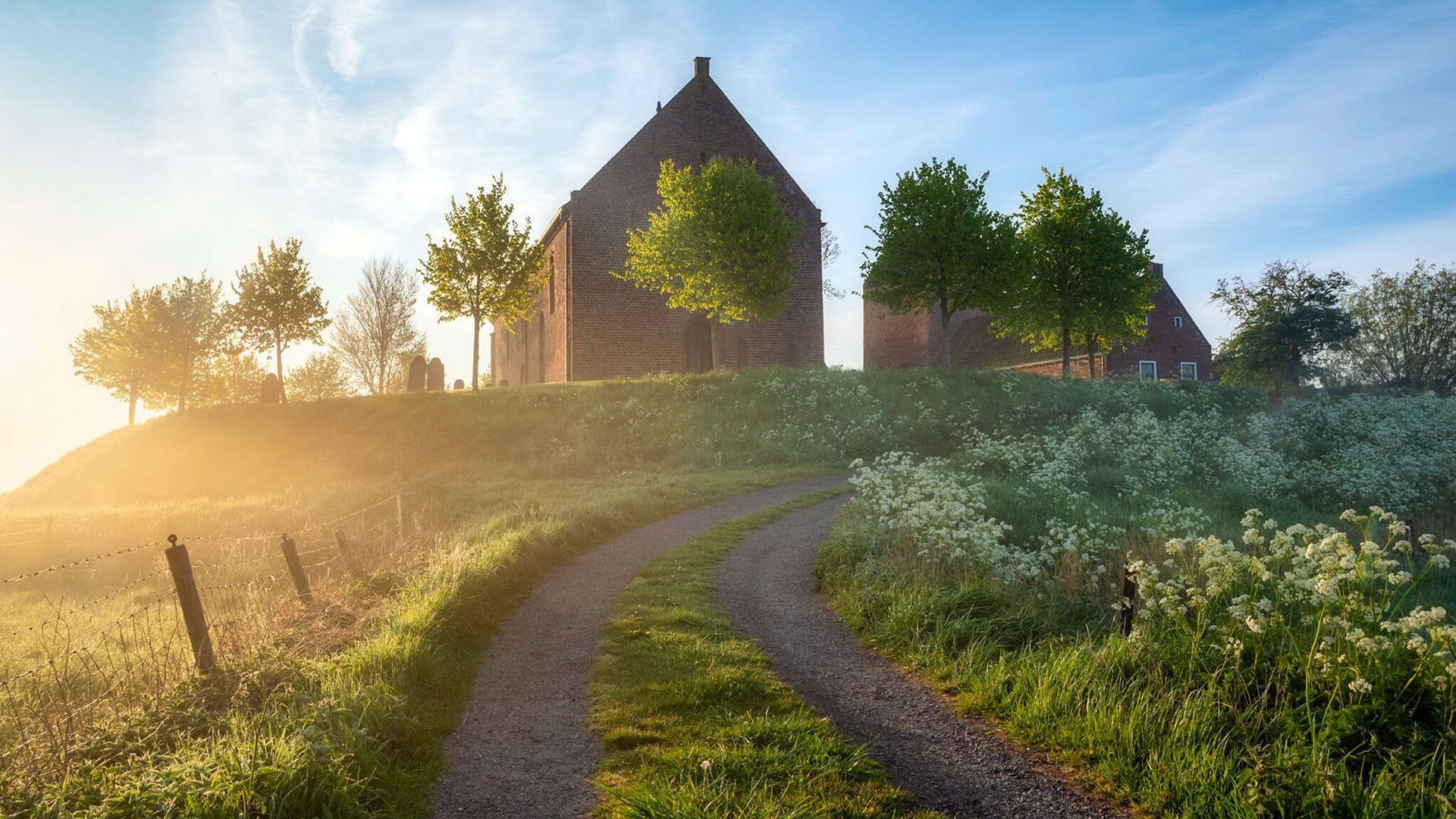 威尔士女队崭露头角,成为国际赛场的黑马,威尔士女队崭露头角,成为国际赛场的黑马了吗