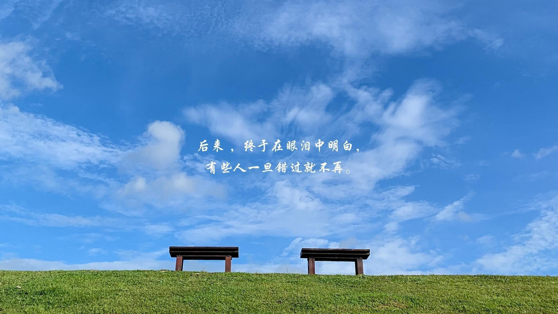 希腊男篮在欧洲锦标赛中再次夺冠,继续巩固传统豪强的地位,希腊男篮遭绝杀无缘奥运