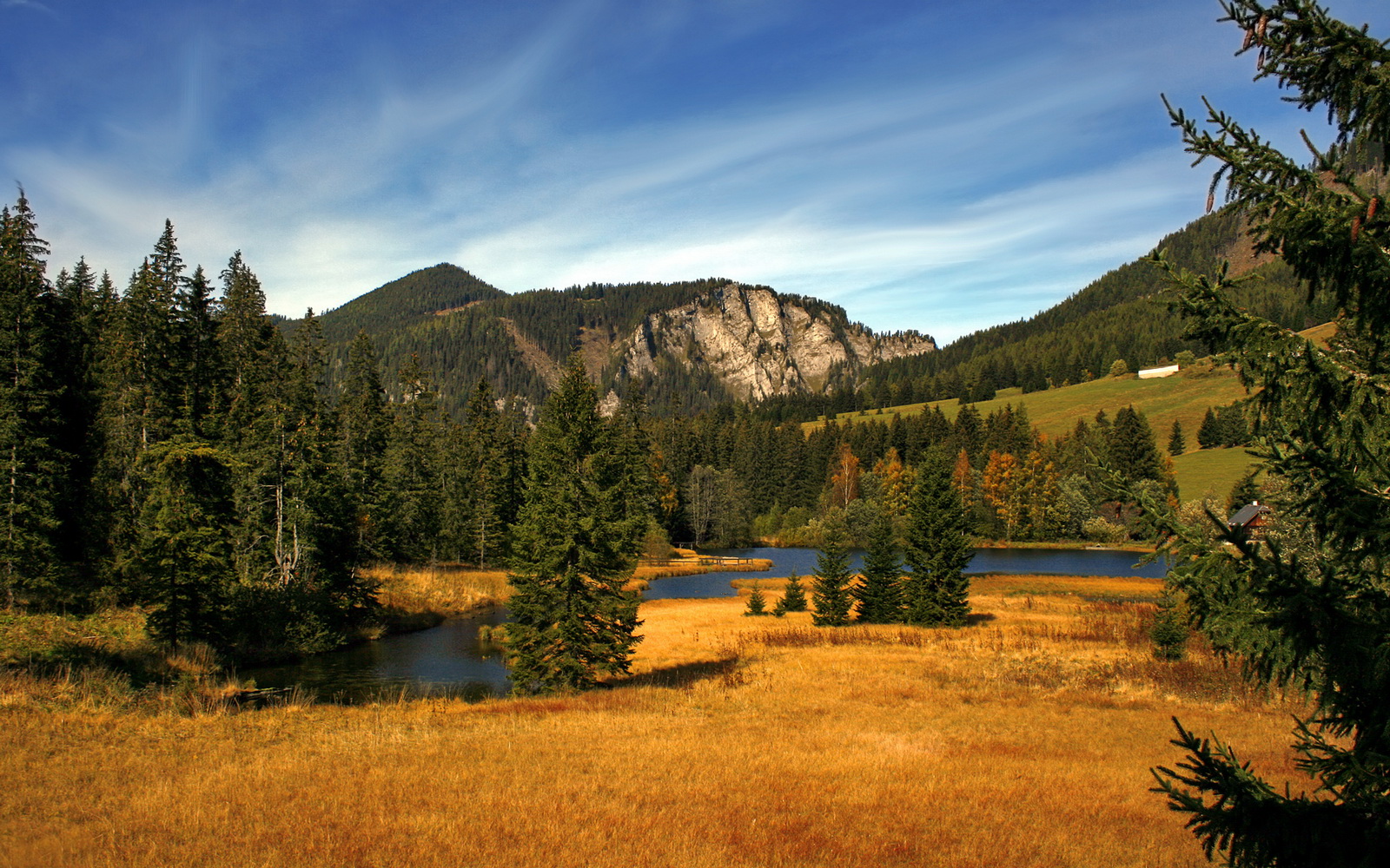 掘金替补中锋称比赛经验仍需提升,掘金得分后卫