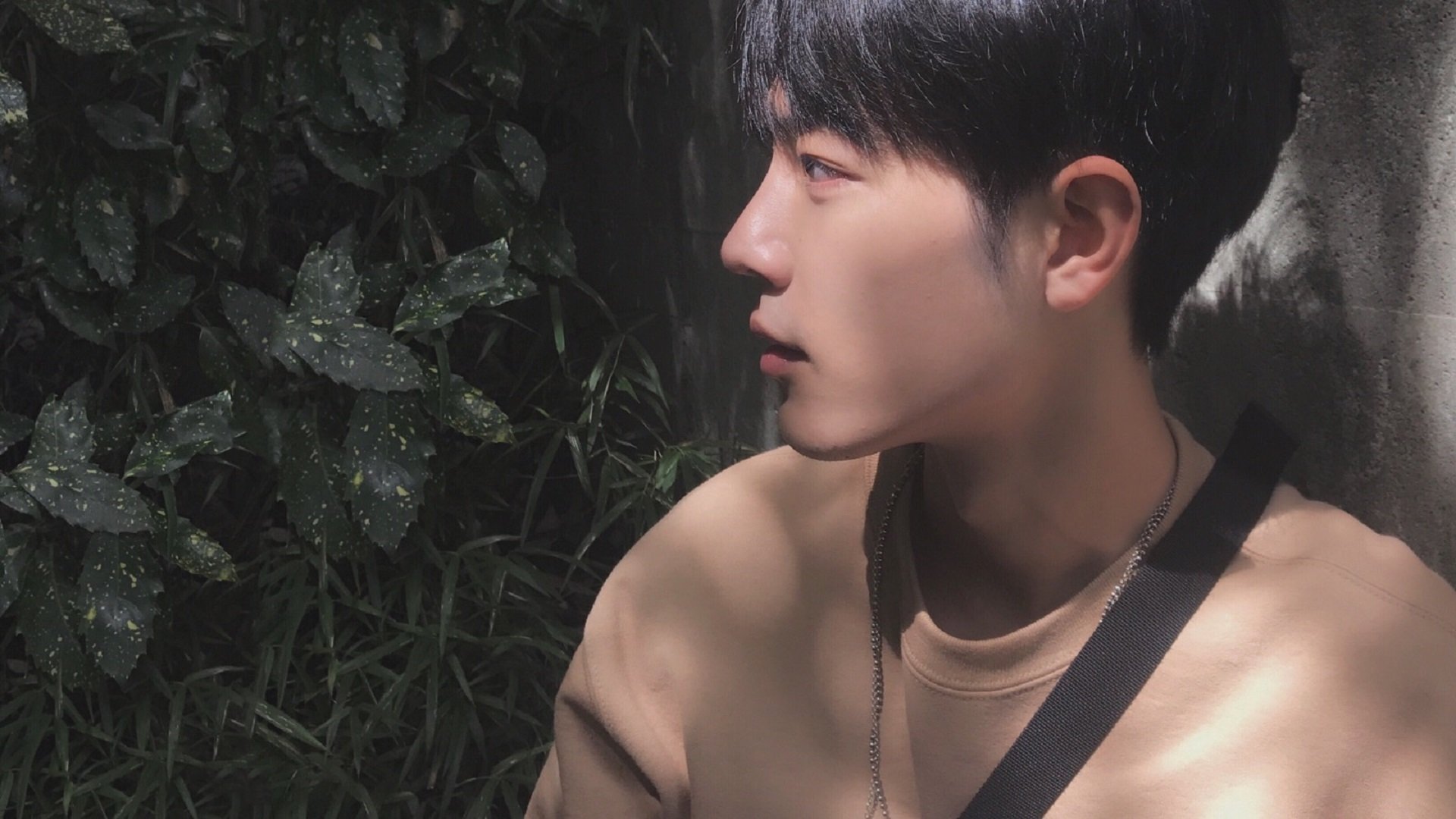 新西兰青训项目扩展，推动橄榄球发展到更广泛的基础，新西兰橄榄球队服