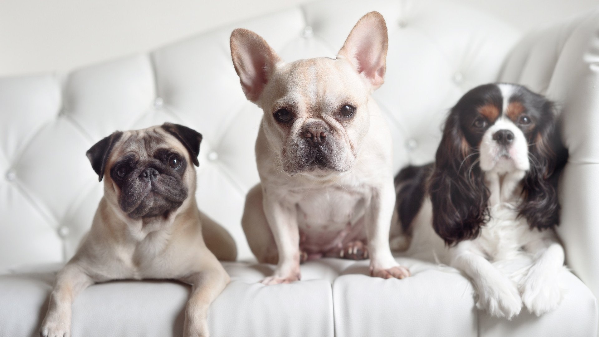 梅西带领阿根廷不断前进，冲刺世界杯梦想