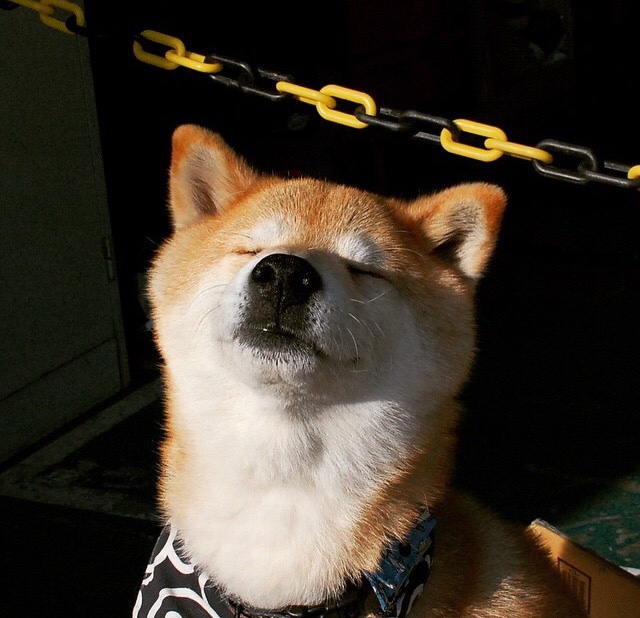 维尔·冯·威克:凭借出色的配合与单打能力,南非队进攻攻势如潮